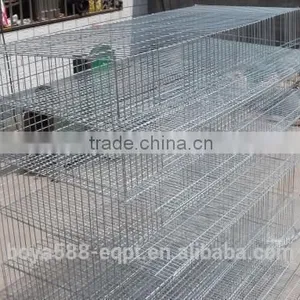 Automatic Quail Farming Cages Design for Kenya Farm thumbnail-2