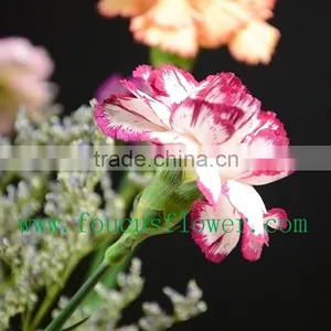 Best Quality Hot Sale Dried Flowers Red Wedding Invitations Real Touch Flowers thumbnail-2