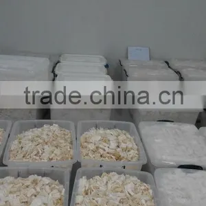 100%Pure Chitosan Fiber thumbnail-1