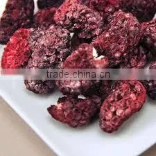 IQF Blackberry With Good Quality for Sale thumbnail-1