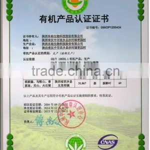 Natural Green Tea Finnings Organic Broken Green Tea for Making Tea Bags thumbnail-3