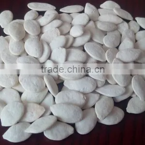 Export Roasted and Salted Pumpkin Seeds for Sale thumbnail-1