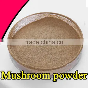 High Quality Mushroom Extract Factory Supply Mushroom Soup Powder thumbnail-3