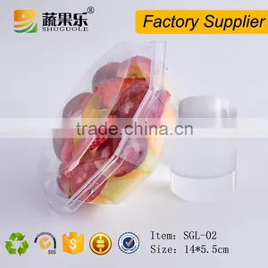 Clear Plastic Take Away Salad Bowl/ PET Clamshell Box for Fruit thumbnail-3