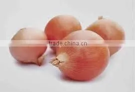 Fresh Red Onion From India thumbnail-1