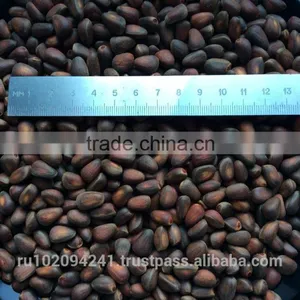 High Quality Pine Nuts From Russia thumbnail-2