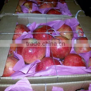 Frozen Pomegranate (Floride, Wonderful) Egypt Origin thumbnail-3