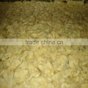 Natural White Color Ginger Slice in Marinade thumbnail-1