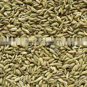Dehydrated Fennel Seeds thumbnail-1