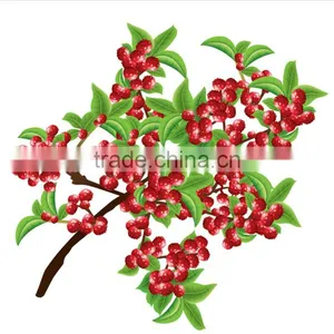 China New Products Szechuan Peppers Innovative Products for Import thumbnail-1