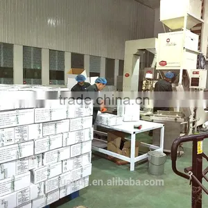 Chinese Bakery Sunflower Seeds Kernel Hot Sale thumbnail-4