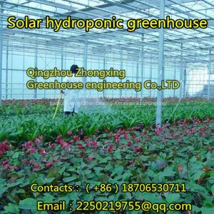 Grass Greenhouse, We Are Professional！ thumbnail-1