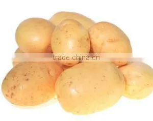 OULENO Potato Cleaning and Peeling Machine Large Roots Fruits and Vegetables Washing Peeling Machine Potato Carrot Cleaning and thumbnail-2