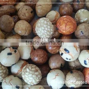 Coated and Flavored Peanut Equipments thumbnail-1