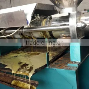 High Oil Yield Small Cold Press Oil Machine thumbnail-5