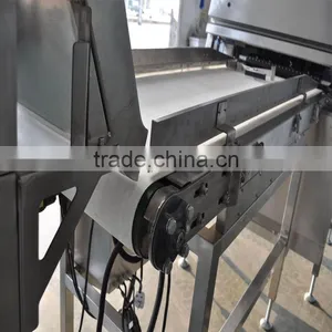 Optical Cashew Nut Processing Machine/Glass Cullet Color Sorter Machine thumbnail-6