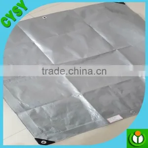 Carport Sun Shelter / Sun Sail Tarpaulin ( Tarps ) thumbnail-1