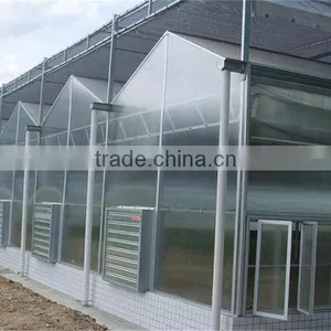 Light Steel Structure Multi Span Glass Greenhouse for Modern Agriculture thumbnail-4