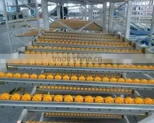 Roller Placon Conveyor With Plastic Roller Skatewheel Placon Roller Steel Frame thumbnail-2