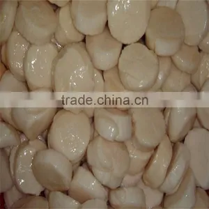 Iqf Frozen Sea Scallop Adductors thumbnail-1
