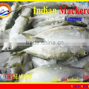 FROZEN INDIAN MACKEREL thumbnail-6