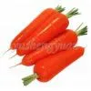 Carrot,carrot Supplier,Chinese Carrot,fresh Carrot thumbnail-2