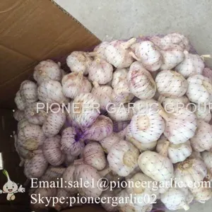 Best Quality 5.5cm Purple Garlic Packed In Mesh Bag thumbnail-2
