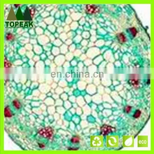 Educational Medical Microbiology Prepared Slides Botany Microscope Slides Microbiology Prepared Slides thumbnail-3