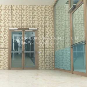 SWING AUTO-DOOR DSW-160 thumbnail-1