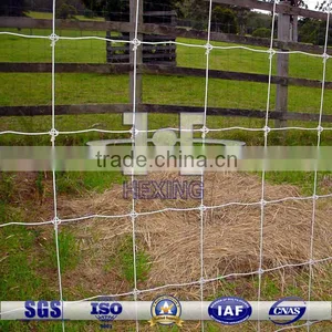 2m Height Electro Galvanized Grassland Fence Factory Price thumbnail-1