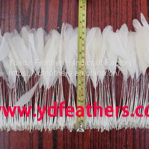 Stripped White Rooster/Coque/Cock Tail Feather For Wholesale From China thumbnail-1