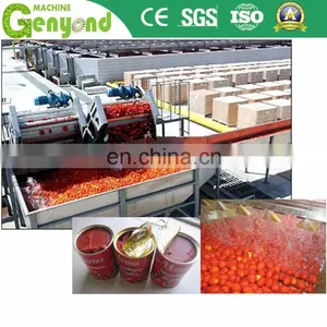 Industry Large Tomato Paste Production Line Mini Complete Industrial Concentrate Tomato Paste Processing Plant thumbnail-5
