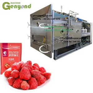 Vacuum Freeze Dried Drying Dryer Machine Food Fruit Honey Powder Instant Coffee Durian Strawberry Flowers Roses thumbnail-1