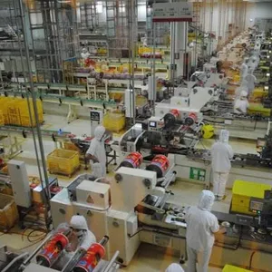 Instant Noodle Production Line Instant Rice Noodle Production Machines thumbnail-2