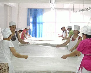Xuzhou Shengkun Silk Manufacturing Co., Ltd. company overview - view 1 thumbnail