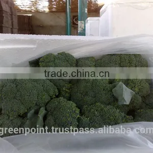 Broccoli thumbnail-3