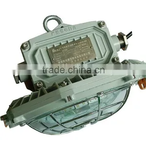 Aluminum Alloy 100-240VAC Indoor And Outdoor LED Floodlight IP66 thumbnail-1