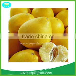 Honey Pomelo thumbnail-1