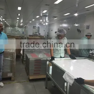 REOO Hot Selling Photovoltaic Solar Panel EVA Film and Backsheet TPT/PET thumbnail-3