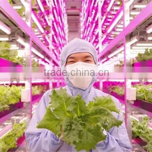 Shenzhen Factory Growing Lights LED 3w LED Grow Light for Growing thumbnail-5