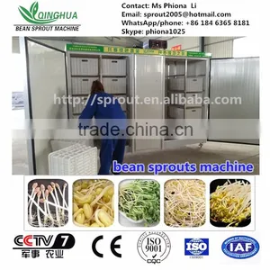 High Efficient Bean Sprout Machine thumbnail-1