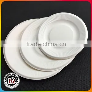 Disposable Biodegradable Bagasse 8 Inch Round Plate thumbnail-2