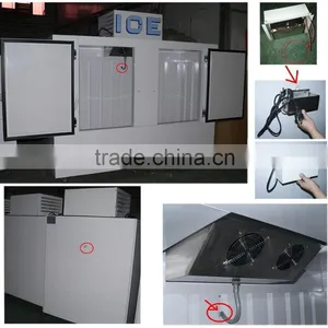 Gas Station Bagged Ice Storage Freezer With 2 Glass Door or Solid Doors thumbnail-3