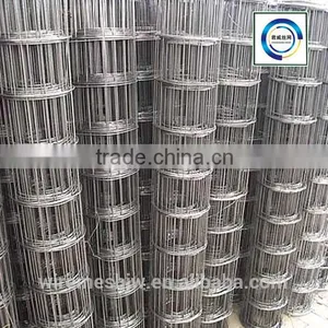 Good Price for Galvanized Stainless Steel Welded Mesh thumbnail-3