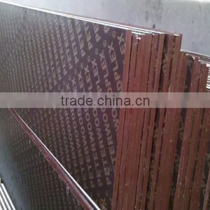 Phenolic Film Faced Plywood / Cheap Marine Plywood for Construction thumbnail-2