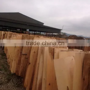 Eucalyptus Core Veneer With High Quality in Viet Nam thumbnail-1