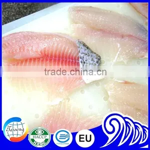 Bulk Tilapia Fillet for Tilapia Buyer thumbnail-4