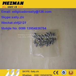 SDLG Orginal Grease Nipple, 4030000065, Sdlg Wheel Loader Parts for SDLG Wheel Loader LG936L thumbnail-1