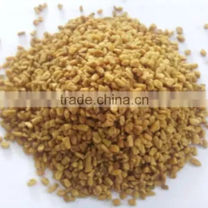 Fenugreek Seed thumbnail-1