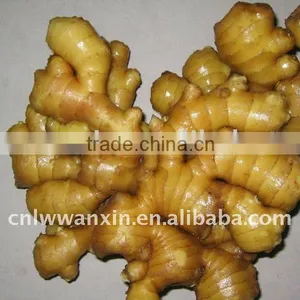 Cheap Chinese Fresh Big Ginger thumbnail-1